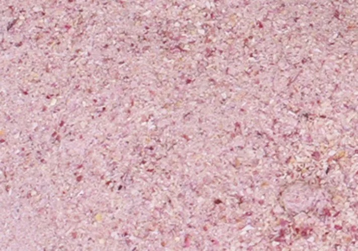 Onion Powder
